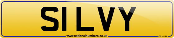 S1 LVY