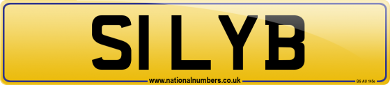 S1 LYB