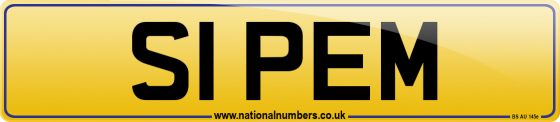 S1 PEM