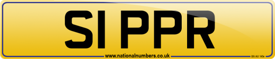 S1 PPR