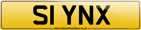 S1 YNX