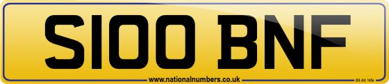 S100 BNF