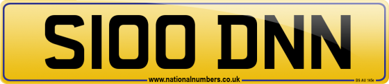S100 DNN