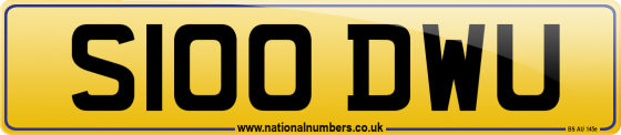 S100 DWU