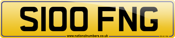 S100 FNG