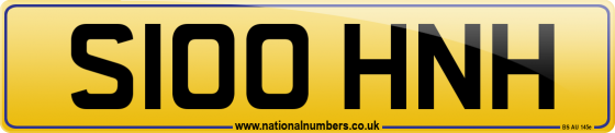 S100 HNH
