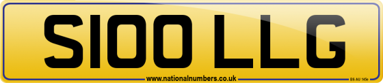 S100 LLG