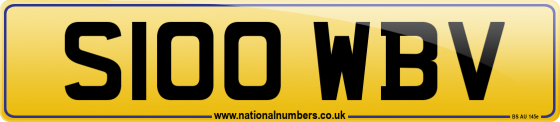 S100 WBV