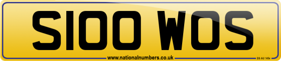 S100 WOS
