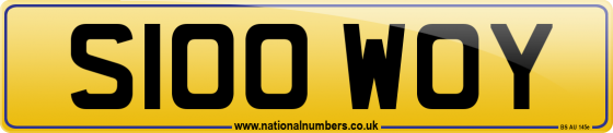 S100 WOY