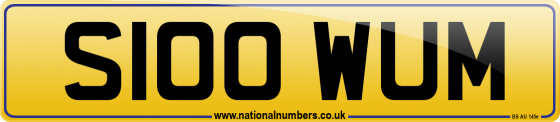 S100 WUM
