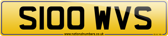 S100 WVS