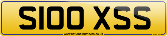 S100 XSS