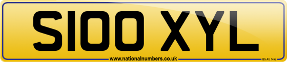 S100 XYL