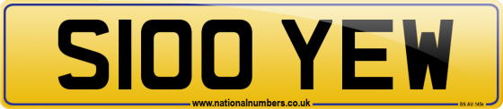 S100 YEW