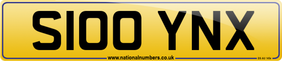 S100 YNX