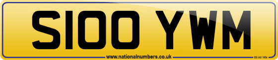 S100 YWM