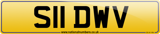 S11 DWV