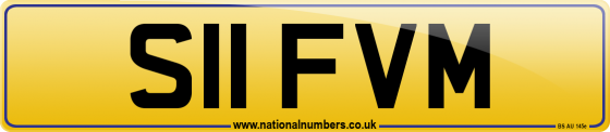 S11 FVM