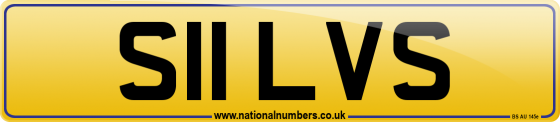 S11 LVS