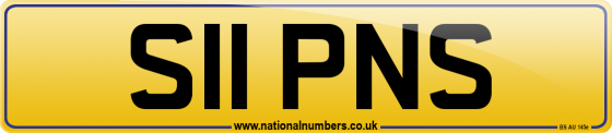 S11 PNS