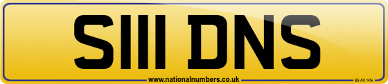 S111 DNS