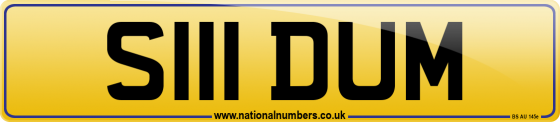 S111 DUM