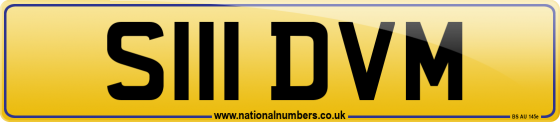 S111 DVM