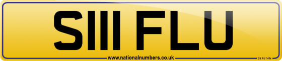 S111 FLU