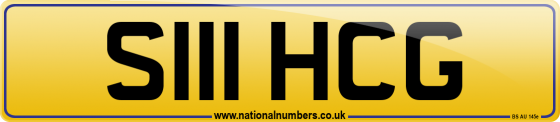 S111 HCG