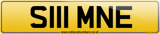 S111 MNE
