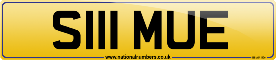 S111 MUE