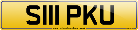 S111 PKU