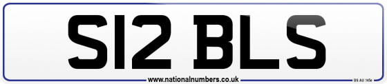 S12 BLS