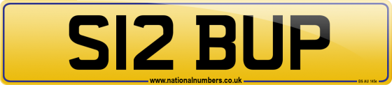 S12 BUP