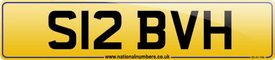 S12 BVH