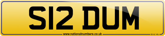 S12 DUM