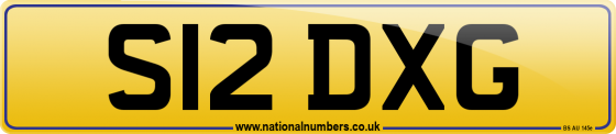 S12 DXG
