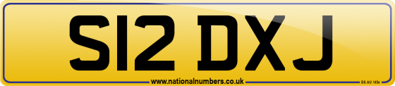 S12 DXJ