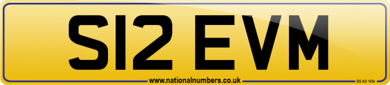 S12 EVM
