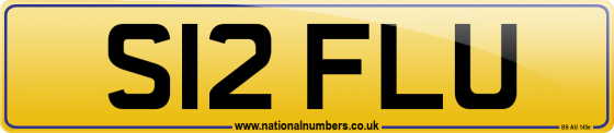 S12 FLU