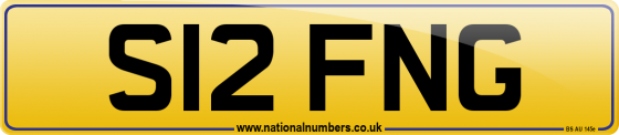 S12 FNG