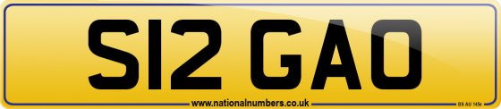 S12 GAO