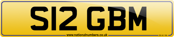 S12 GBM