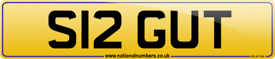 S12 GUT