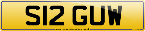 S12 GUW