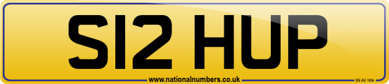 S12 HUP