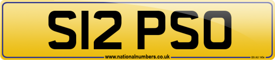 S12 PSO