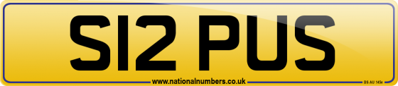 S12 PUS