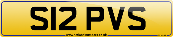 S12 PVS